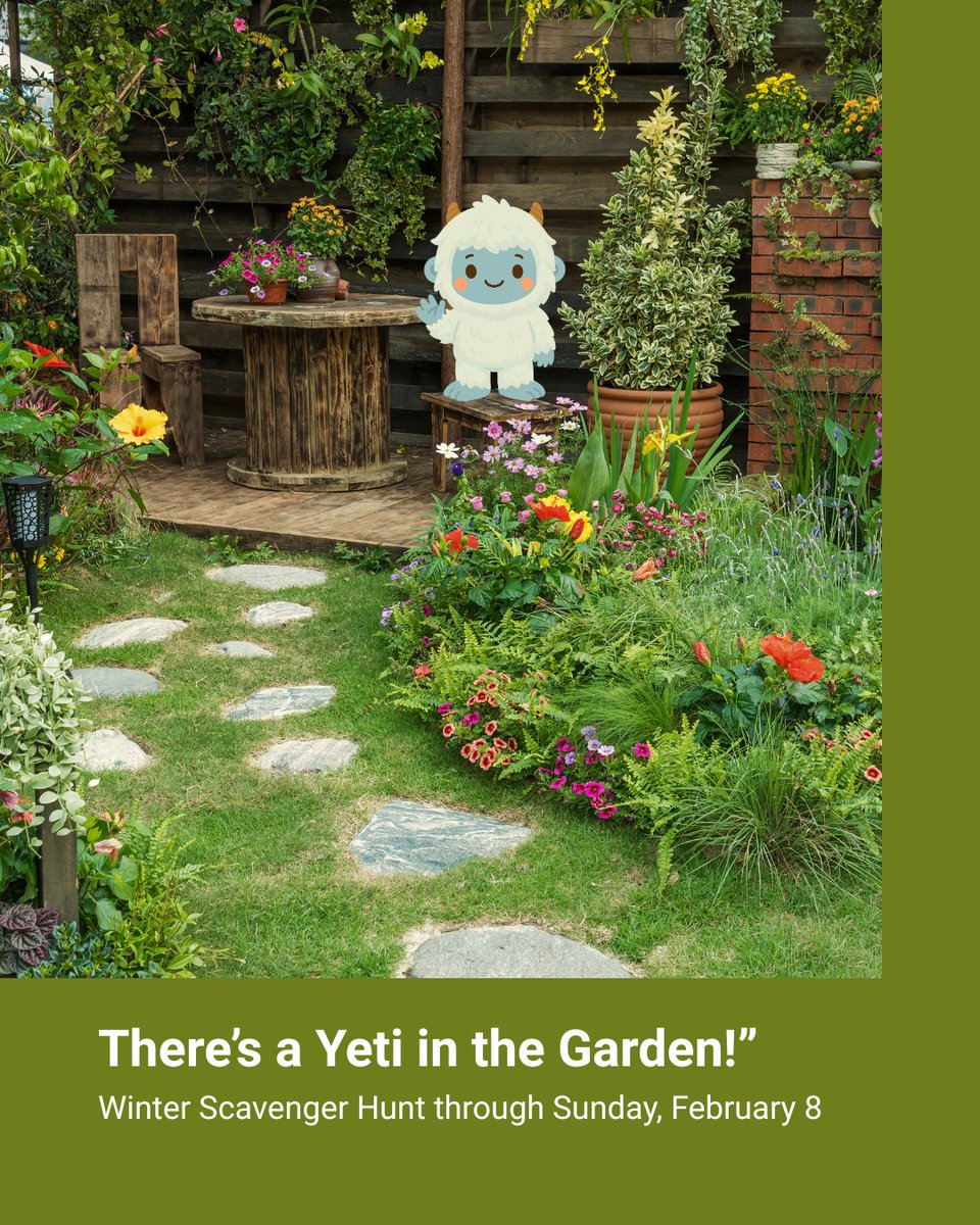 ❄️ “There’s a Yeti in the Garden!” Winter Scavenger Hunt. A fun, at the JC Raulston Arboretum. The Yetis will stay in the gardens through Sunday, February 8.

🔗 Learn more: jcra.ncsu.edu/events/details…

#FamilyFun #WinterActivities #KidsEvents #JC RaulstonArboretum