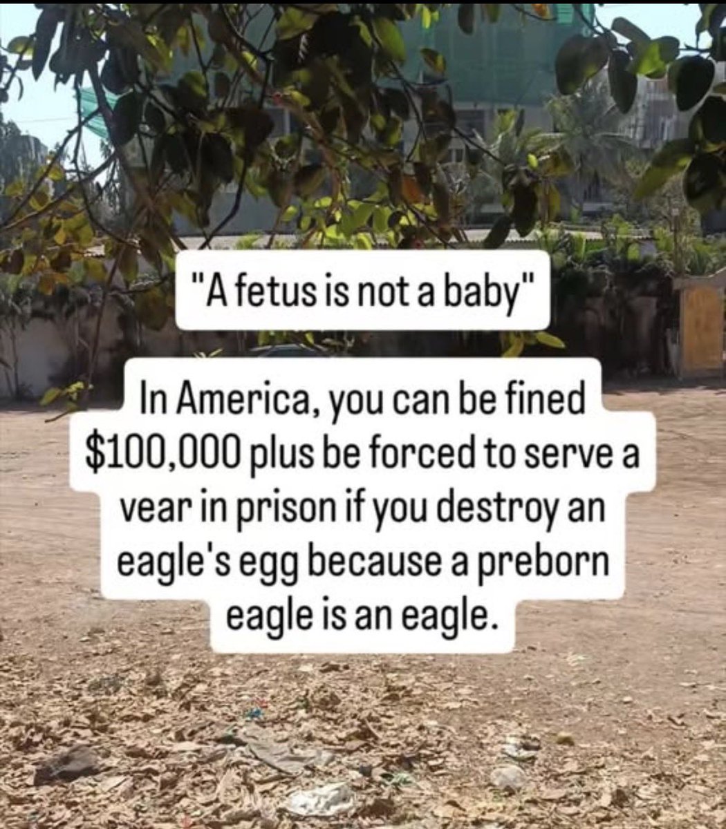 🇺🇸Do you see the hypocrisy.🇺🇸