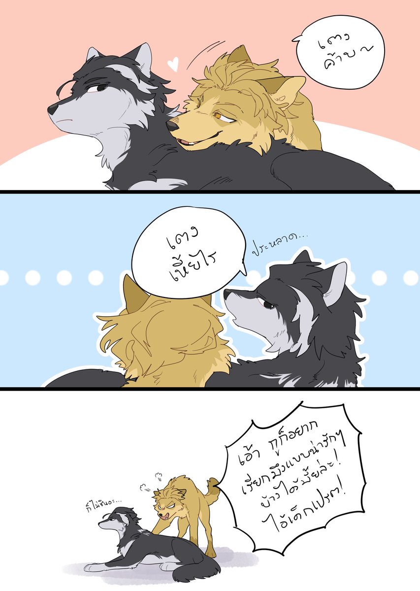 ดีๆไม่ชอบ #เอนจินโซดิล