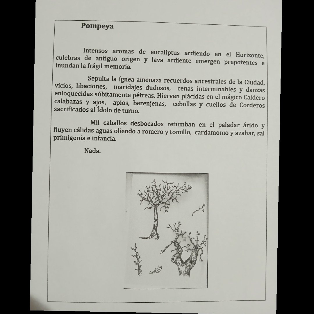 Prosa poetica (Civitas, inédito)