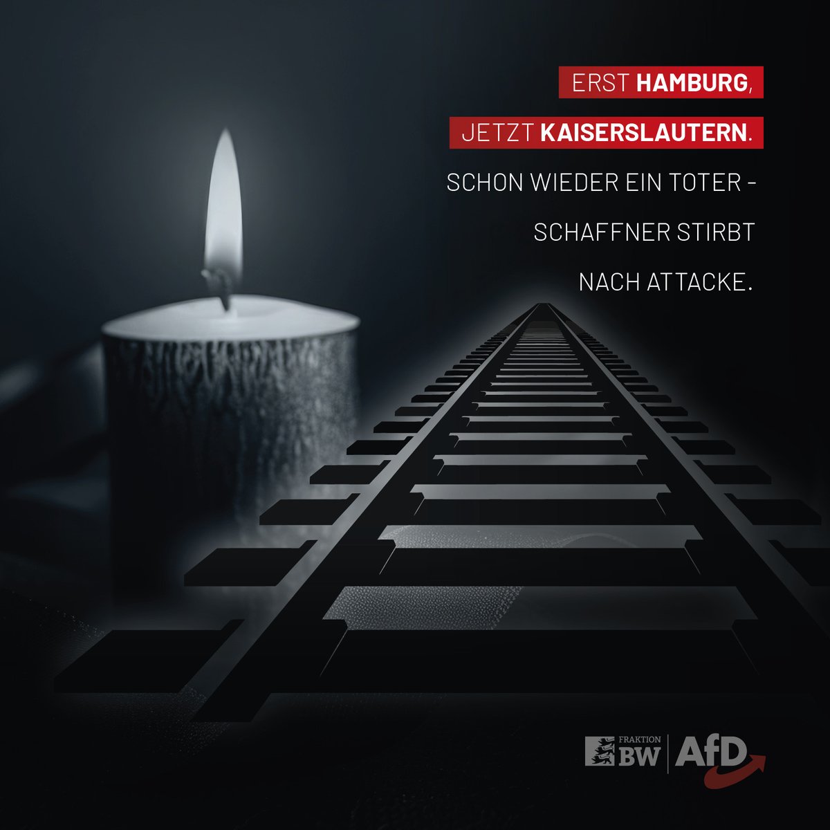 AfD-Fraktion BaWü tweet media
