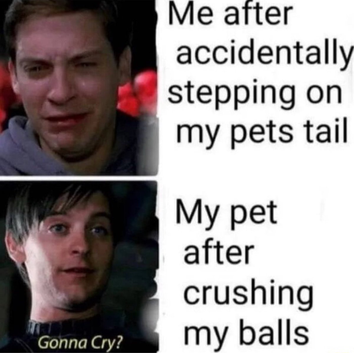 ImNotCreative27 tweet media