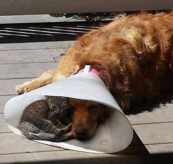 Όταν κάποιος περνάει δύσκολα, κάθησε κοντά του. Δίχως κήρυγμα, δίχως συμβουλές. 
Απλά να είσαι εκεί.