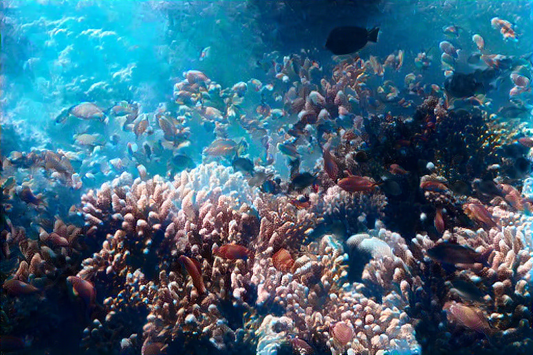 TradƎEX tweet media