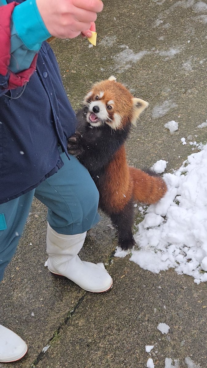 ▼MiMiページ△ mimi (@mimi0709r) / Posts / X