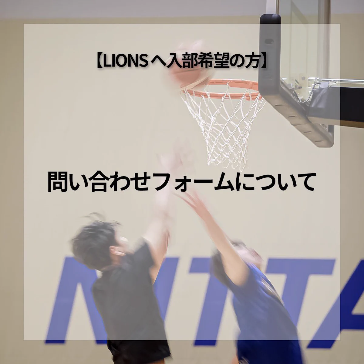 日本体育大学男子バスケットボール部 (@nssu_lions) / X