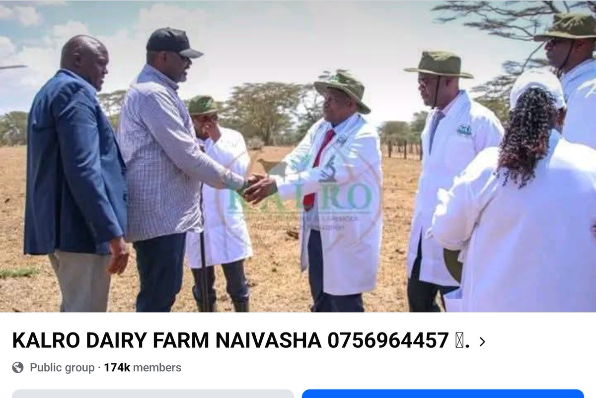 Wakora wa taun hawa. Huyu alijaribu kuniuzia silage, 2 Girolando incalf heifers na dairy meal. Niliona ni wachezaji wa taun lakini nilicheza hadi paybill number - wakanipa ya LOOP C2 B. Hapo mwisho tulicheka tu na akaniuliza mbona niko ngumu sana na pesa? Be careful guys!
