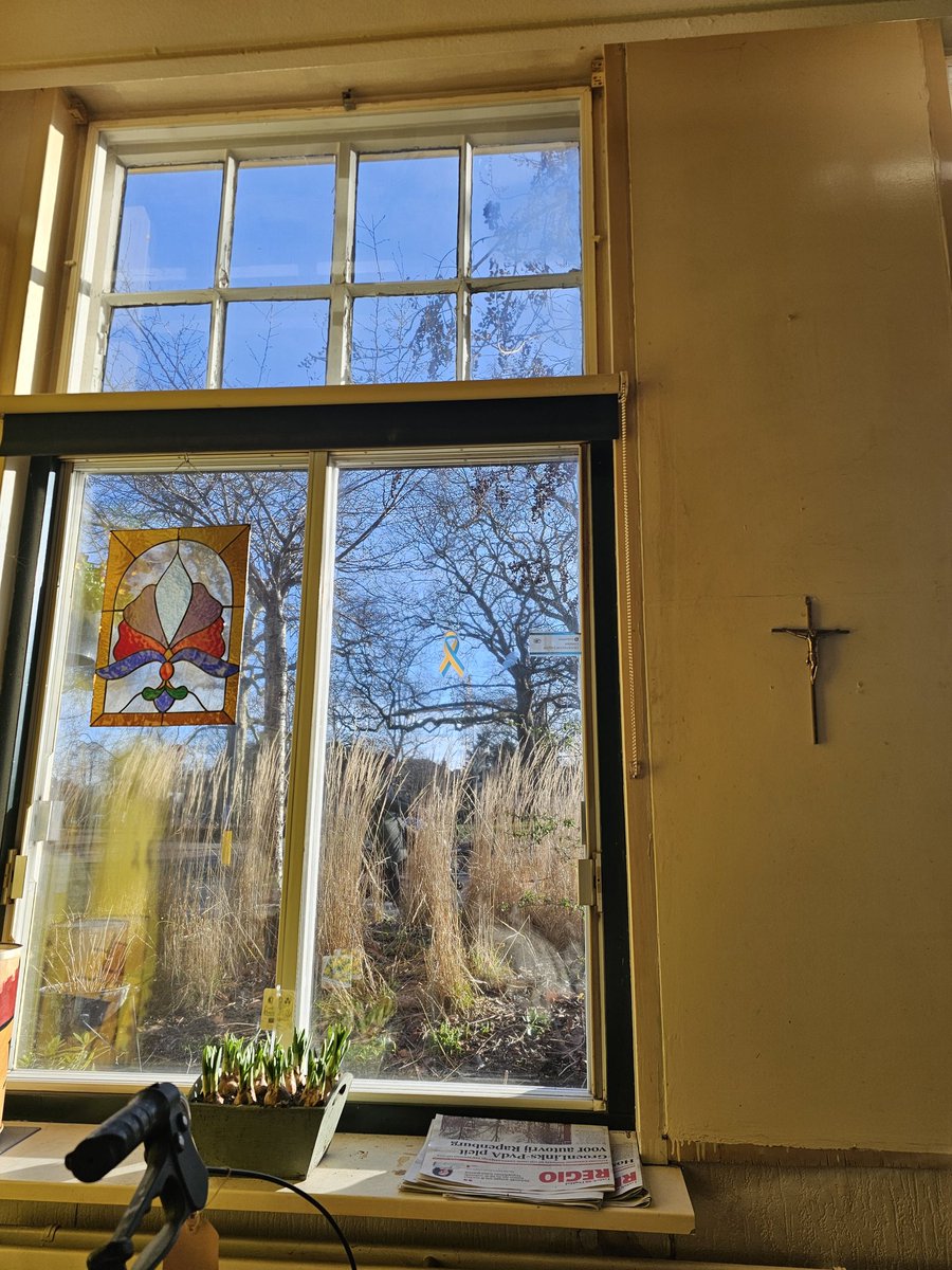 Het voelt als voorjaar , nu 10 graden en zie die mooie blauwe lucht. 🌤👍😎