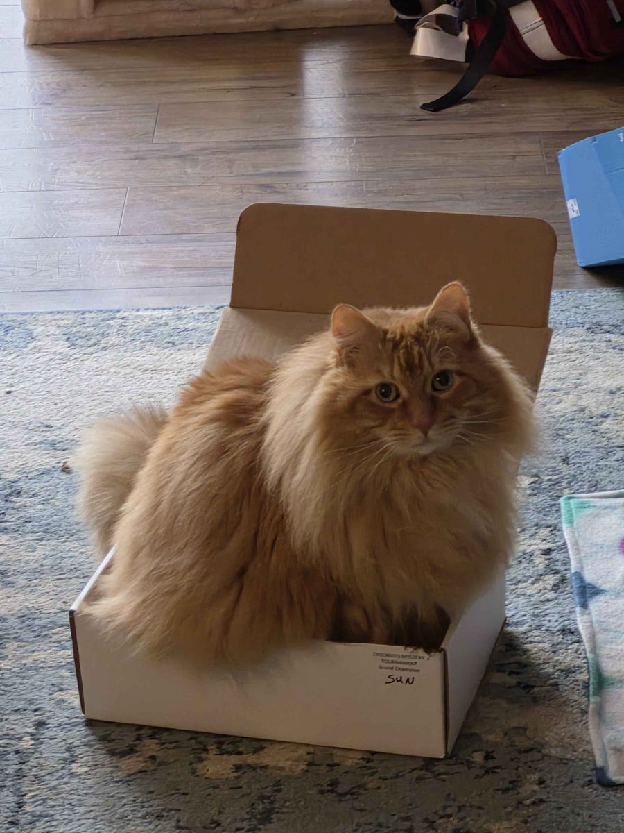 All right dude, I won't throw the box away yet