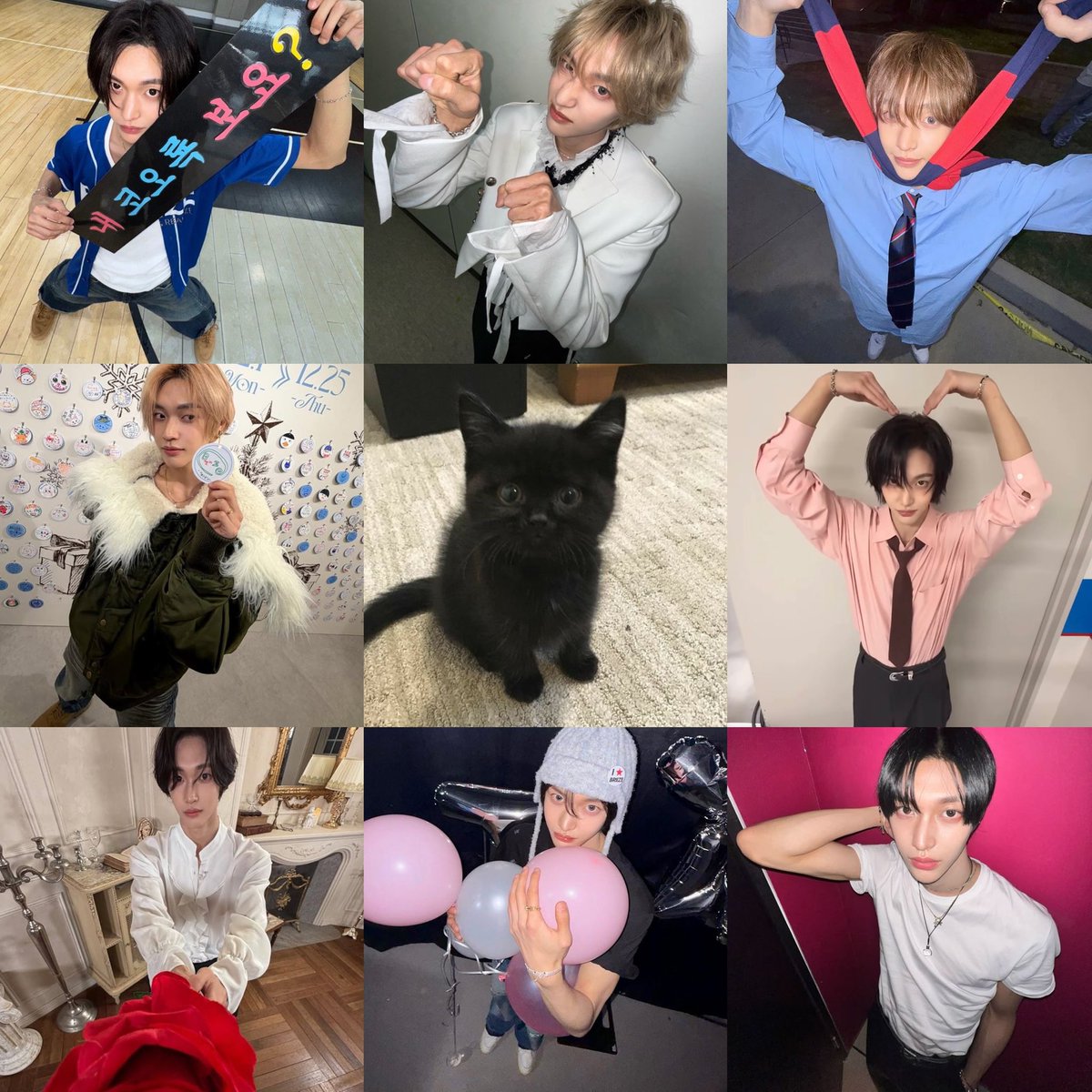 madgurlclub's tweet image. 🐈 🐈‍⬛ 👼🏻👼🏻💟