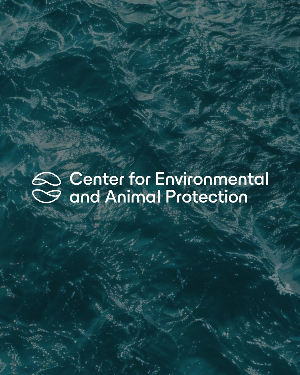 And—Now tweet media