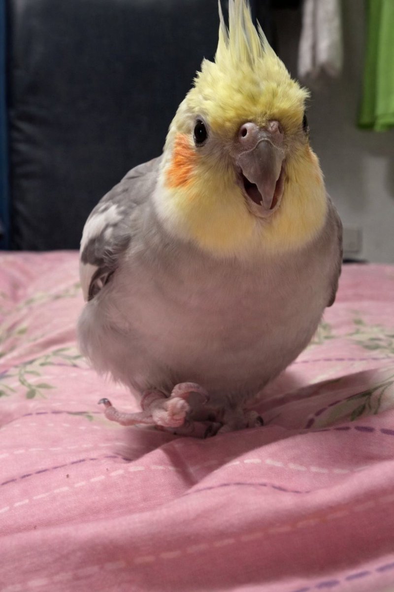 ｴｯﾎｴｯﾎｴｯﾎｴｯﾎ