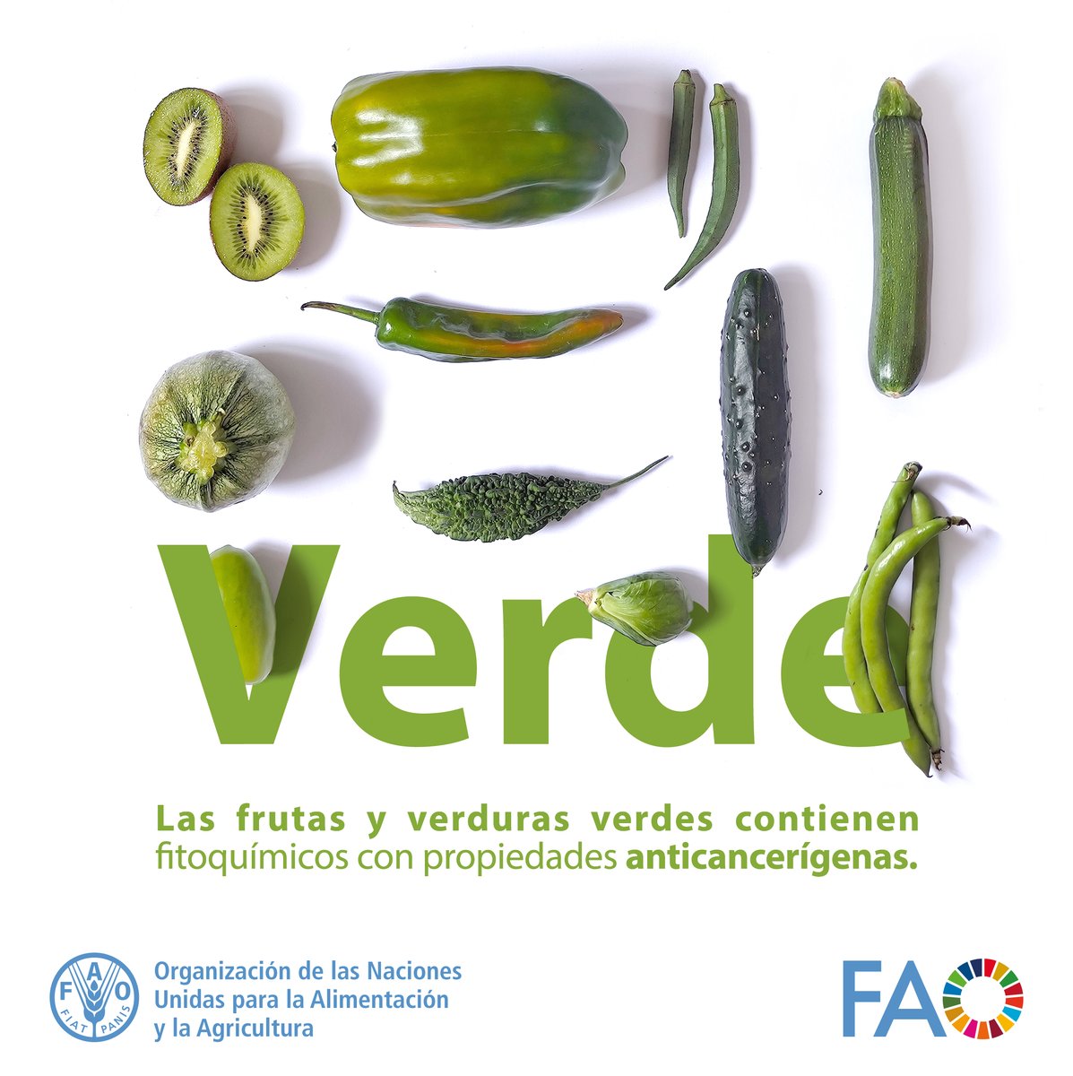 FAO Mesoamérica tweet media