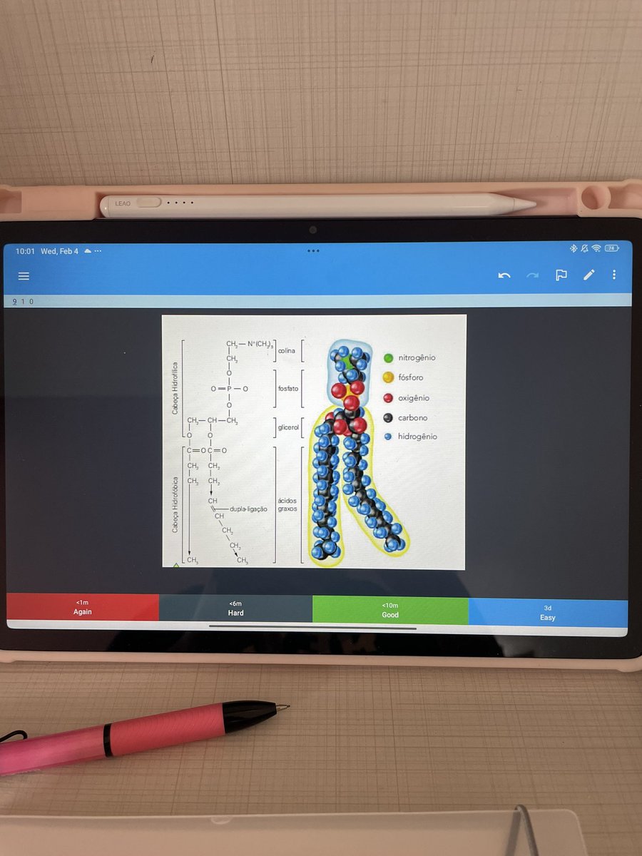 ariscoxuxu's tweet image. queria ser cunt igual ao fosfolipídio