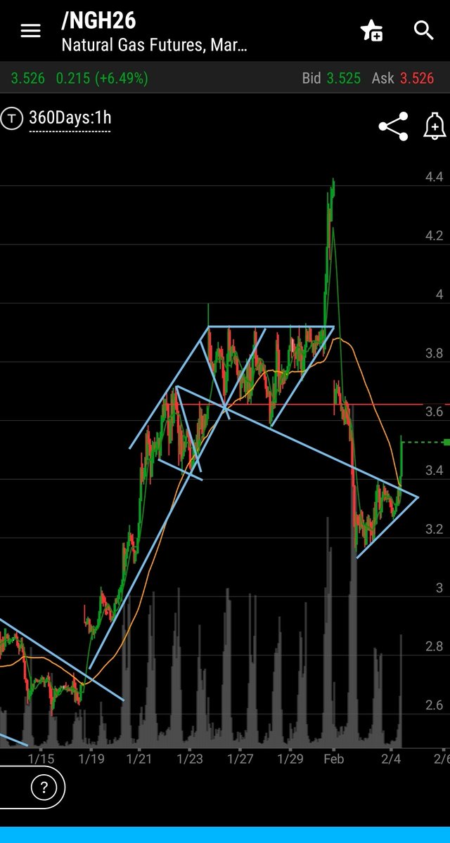 DiveBombTrading tweet media