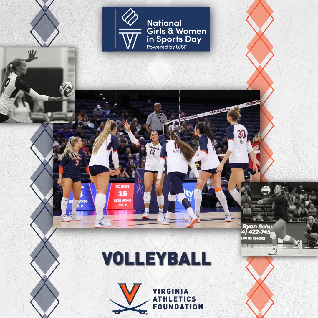 Virginia Volleyball tweet media