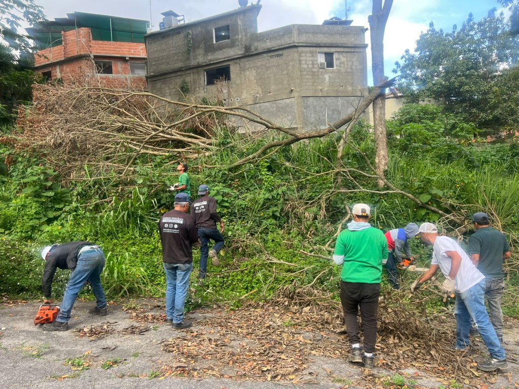 AlcaldiaBaruta's tweet photo. Nuestras cuadrillas de #AcciónInmediata se encuentran realizando labores de:
🍃Desmalezado:
📍Sector. #HoyoDeLaPuerta
📍Urb. #MonteAlto
🍃Roleo de ramas caídas:
📍Urb. #MonteAlto
🍃Poda de despeje:
📍Urb. #TerrazasDelClubHípico https://t.co/jg9tPmTorL