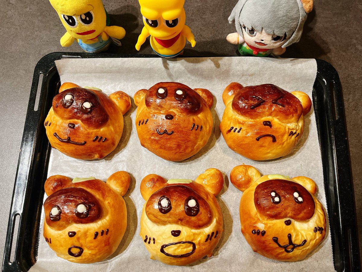 甲賀流忍者ぽんぽこ🍃たぬき！ (@ponpokoka) / Posts / X