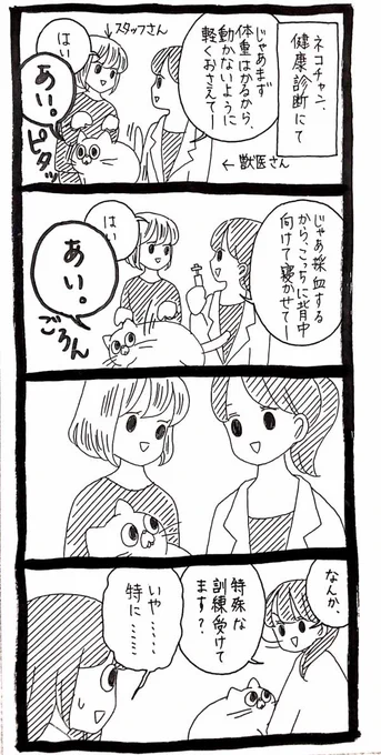 特殊な訓練を受けている猫 