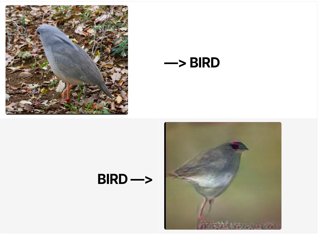 Sean Kruzel tweet media