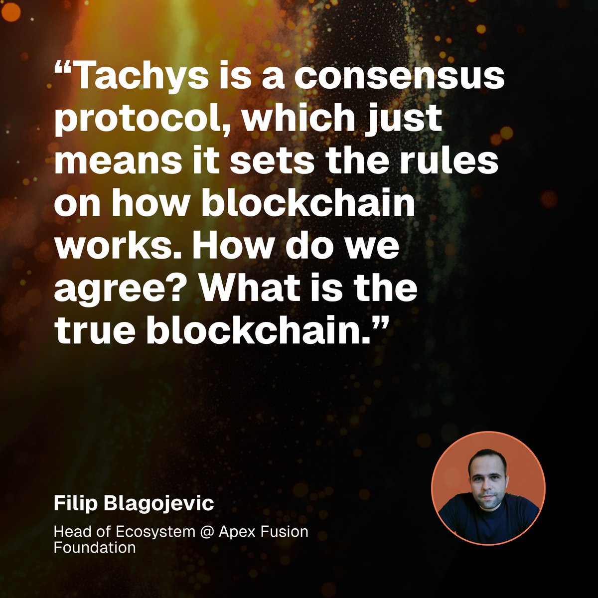 Apex Fusion tweet media