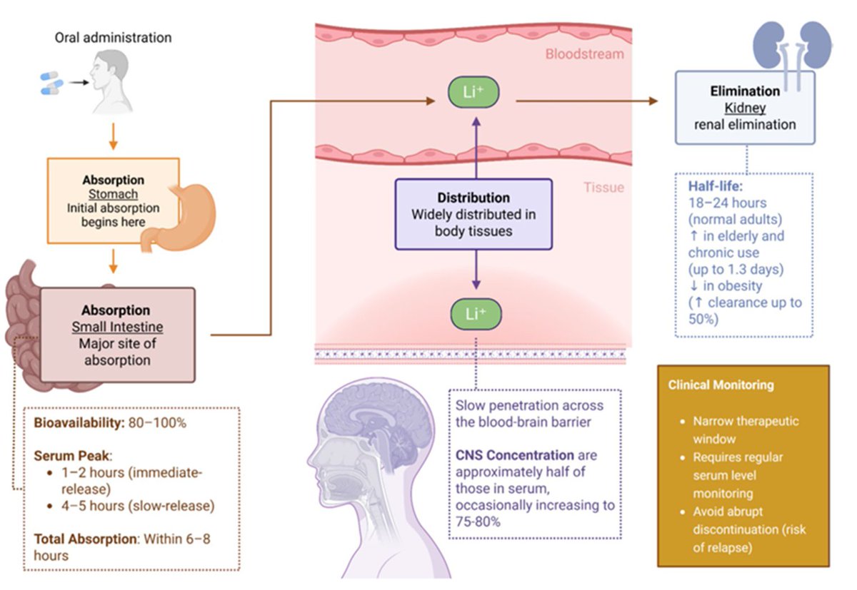 carlos_arnaud's tweet photo. Quieres conocer todo sobre uno de los mejores medicamentos que tenemos en #Psiquiatría?

Gold Standard en el #TrastornoBipolar
Excelente medicamento #Antisuicida
Potenciador Antidepresivo

Publicado en #MolecularNeurobiology hace 2 días

#CarbonatoDeLitio

https://t.co/UGTyfIuLsF https://t.co/E1Oc7KEBhv