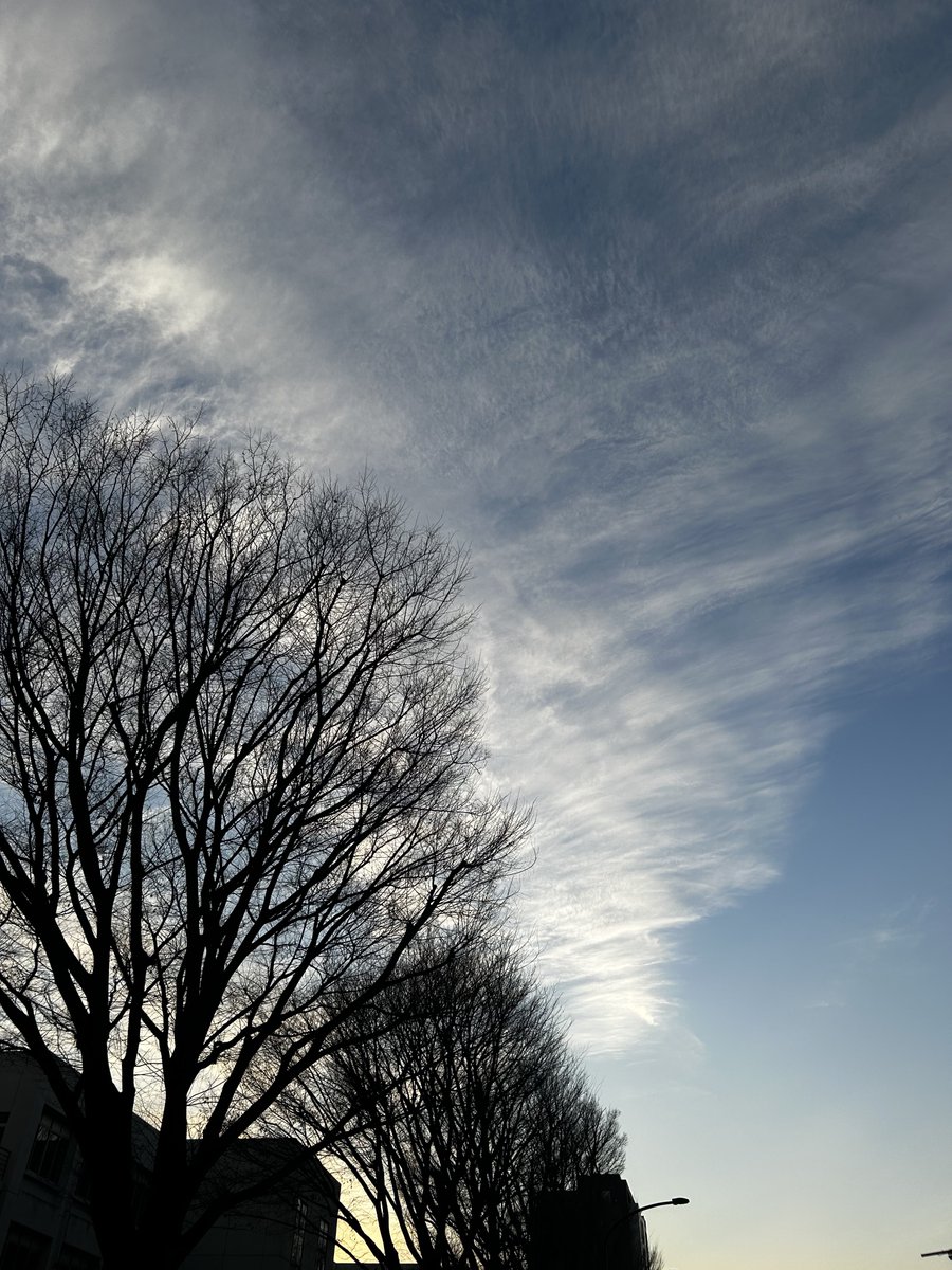 siontt's tweet photo. 嫌いなものを嫌いと言っただけ
好きなものを好きと言っただけだ
それが道を開いて行く

#素に直ると書いて素直 https://t.co/KLq5ovec5v