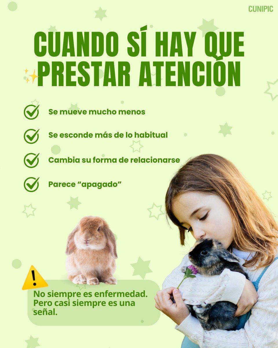 ¿Es normal que mi conejo haga esto? 🐇✨
Si tienes uno, seguro que te lo has preguntado más de una vez👀

✅ Guarda este post, algún día te puede ayudar mucho 💚Y compártelo con quien tenga un conejito 🐰

#Conejos #CuidadoDeConejos #MascotasFelices #EducaciónAnimal