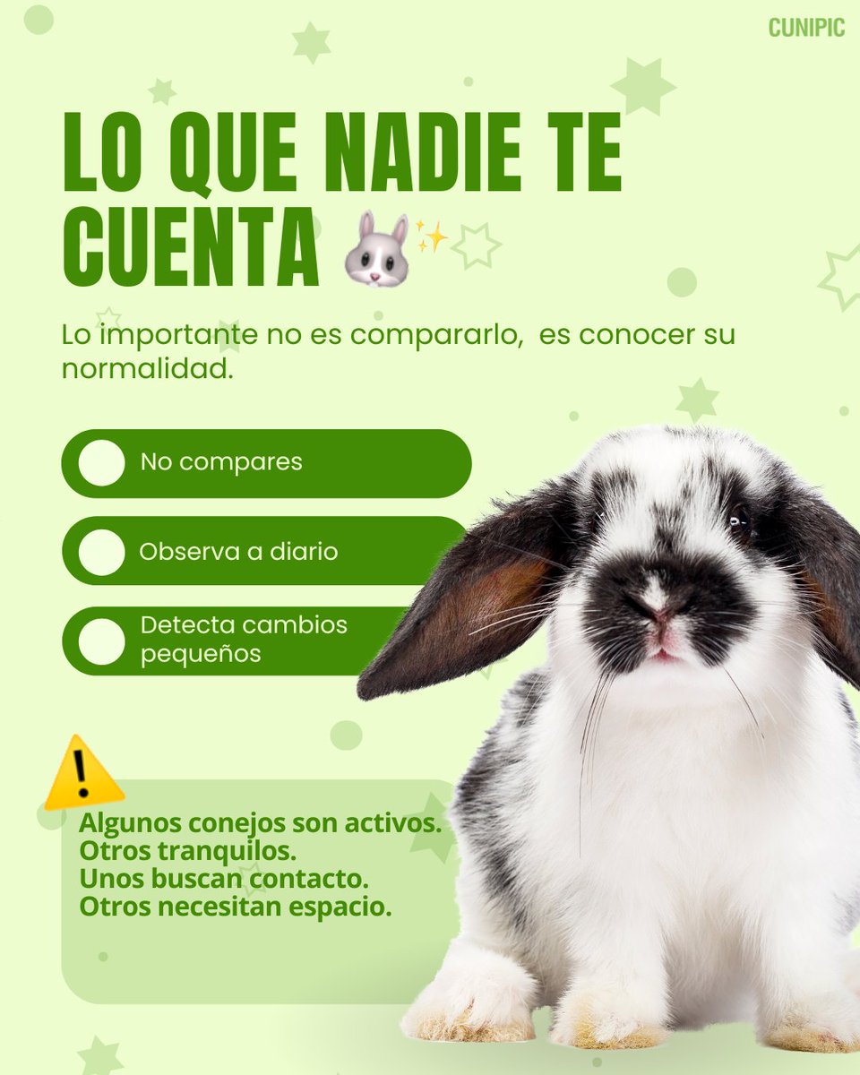 CUNIPIC l Alimentación natural para tu mascota tweet media