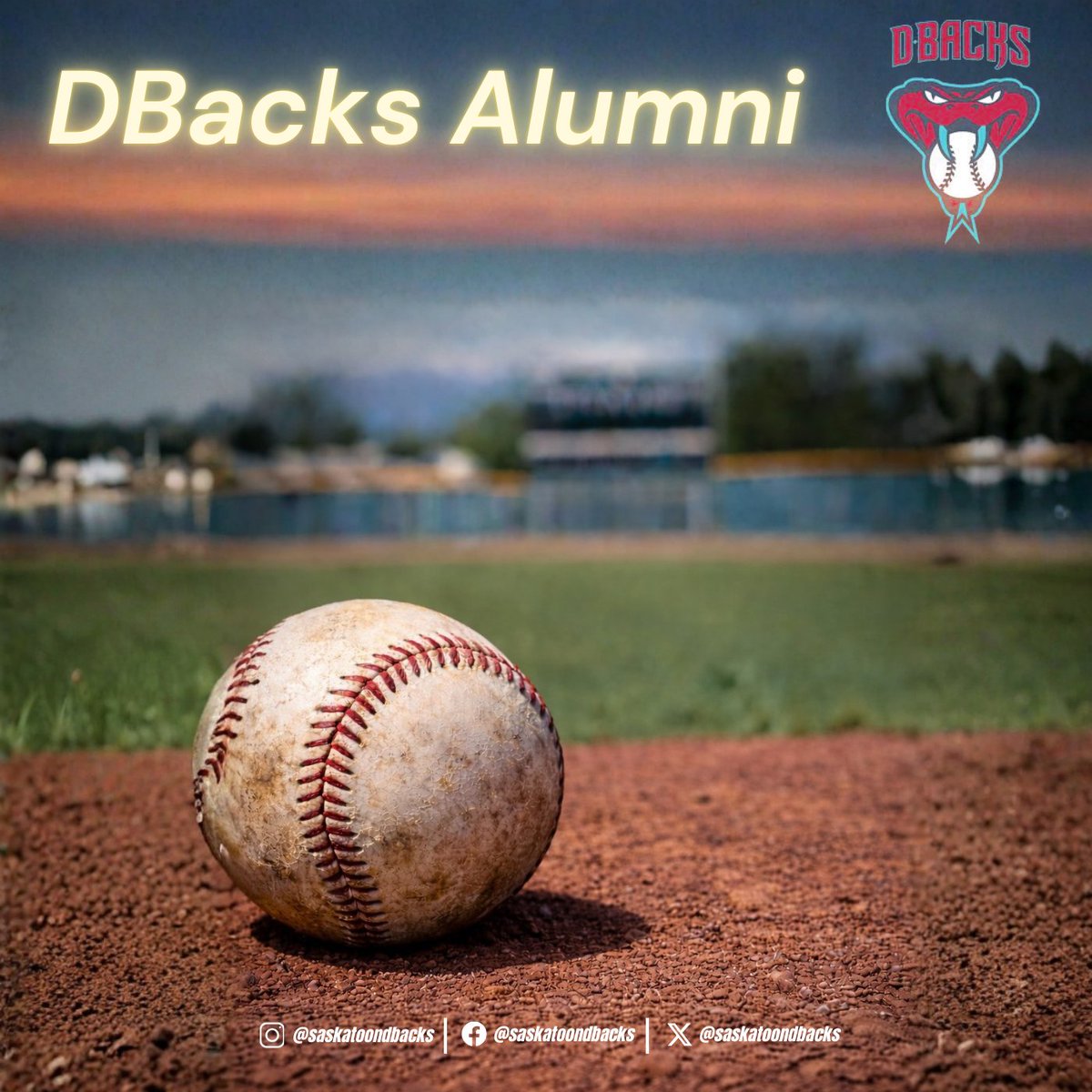 Saskatoon Diamondbacks tweet media