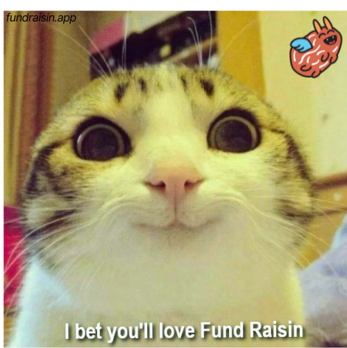 Built with purpose.
Backed by transparency.
Focused on real impact.

#FundRaisin