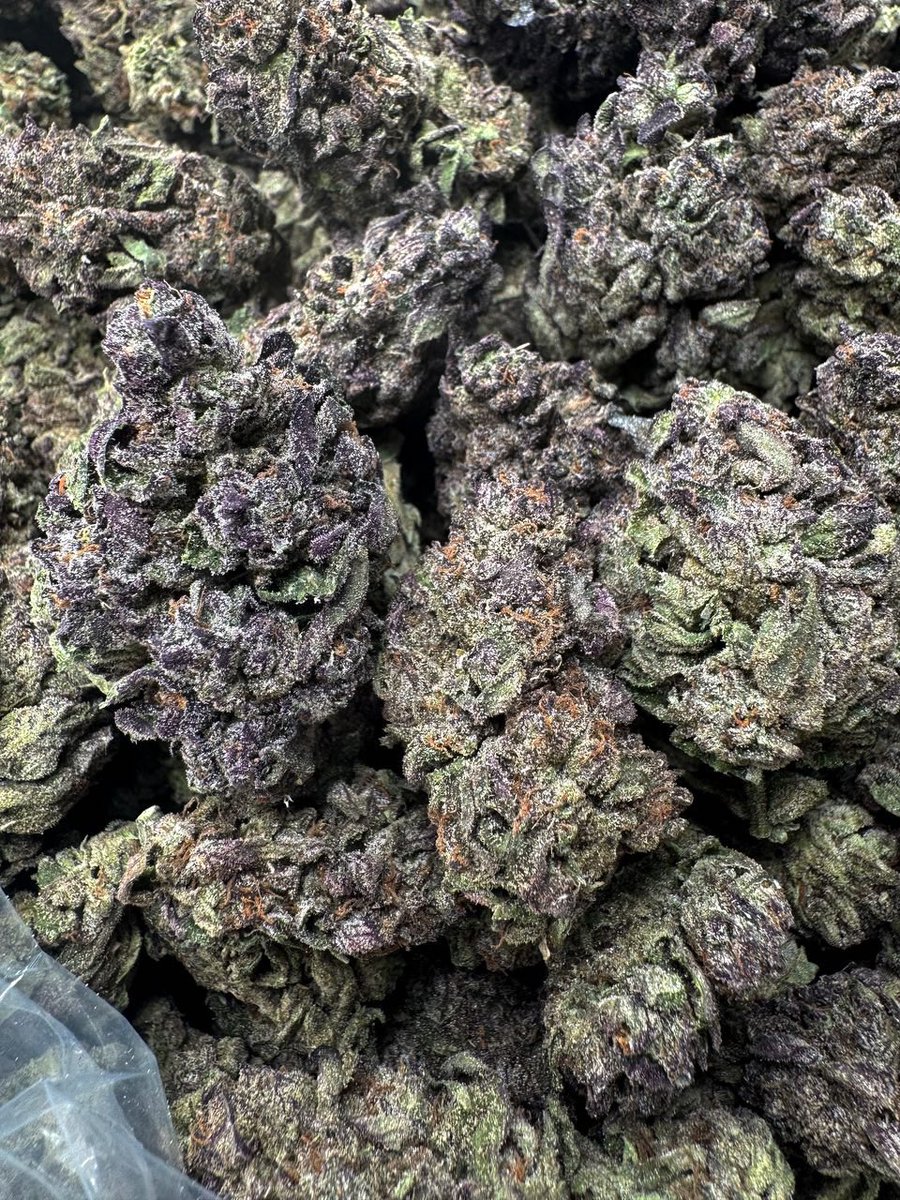 ExoticZaUS's tweet photo. Mochie Pie ๐ซ
Sweet dessert vibes with creamy, chocolatey terps and a smooth, soft smoke. Balanced high, premium look, and a melt-in-your-mouth experience.
#MochiePie #DessertTerps #ExoticSmoke #LoudPack #TopShelf #GasOnly #TerpRich #PremiumFlower https://t.co/5gBGvnvOhR