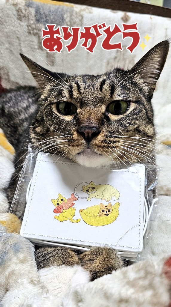 ロイヤルカナン (@RoyalCaninJP) / Posts / X