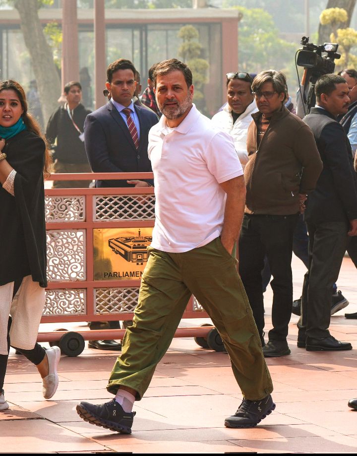 एक अकेला शेर = BJP 
#RahulGandhiVoiceOfIndia