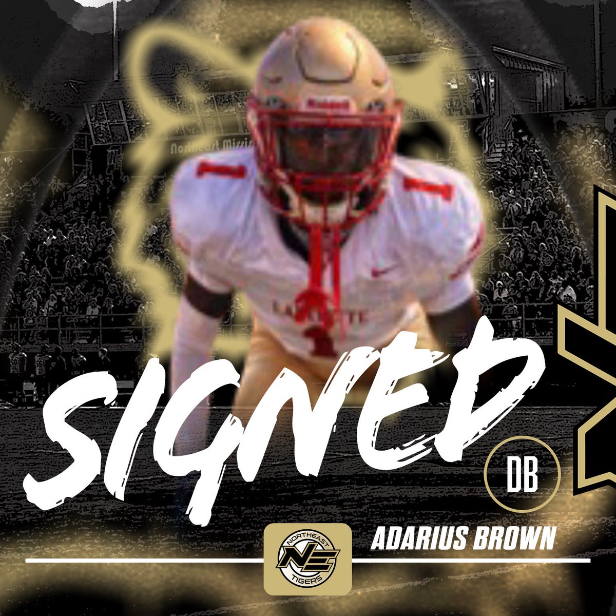 Northeast Tigers tweet media