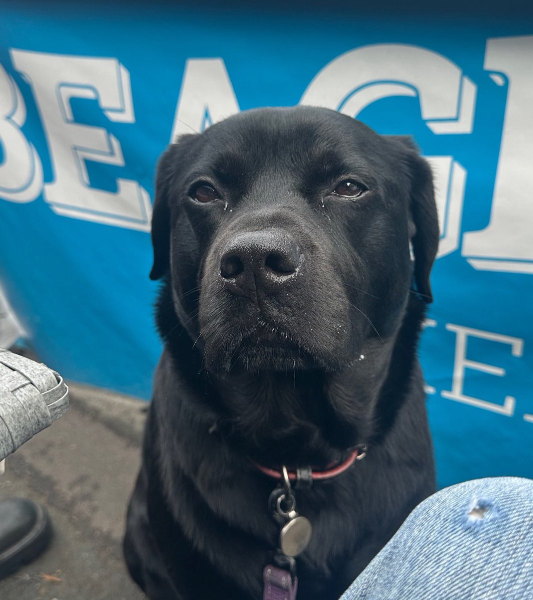 Jonny G 🇺🇦 tweet media