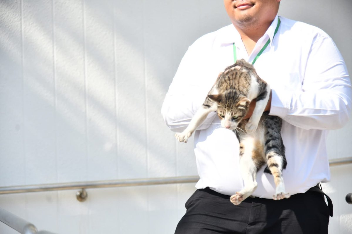 js100radio's tweet photo. 🐱กทม. คัดกรอง ‘เหมียวสวนลุมฯ’ พบอาการป่วยส่งรักษาต่อครบทุกตัว วอนหยุดทำร้ายน้องด้วยการปล่อยทิ้งในที่สาธารณะ เตือนฝ่าฝืนมีโทษปรับสูงสุดไม่เกิน 40,000 บาท 

จากการเฝ้าระวังกรณีพบแมวติดเชื้อรากินเนื้อ (Sporotrichosis) ซึ่งเป็นโรคที่ต้องได้รับการรักษาอย่างใกล้ชิด วันนี้เจ้าหน้าที่สามารถติดตามและจับแมวที่ติดเชื้อได้ครบทั้ง 4 ตัวเป็นที่เรียบร้อย โดยจะส่งตัวน้องๆ ไปยังศูนย์ควบคุมสุนัขกรุงเทพมหานคร (ประเวศ) เพื่อเข้าสู่กระบวนการรักษาต่อไป โดยหลังจากนี้ สำนักงานสัตวแพทย์สาธารณสุข จะมีทีมสัตวแพทย์เฝ้าระวังพื้นที่อย่างต่อเนื่องเพื่อป้องกันการระบาดซ้ำ

รู้หรือไม่? ‘การนำสัตว์มาปล่อยมีความผิดตามกฎหมาย’ การละทิ้งสัตว์ให้พ้นความดูแลในที่สาธารณะ มีความผิดตาม พ.ร.บ. ป้องกันการทารุณกรรมและการจัดสวัสดิภาพสัตว์ พ.ศ. 2557 มาตรา 23 ❌ โทษปรับสูงสุดไม่เกิน 40,000 บาท ❌

(Cr.กรุงเทพมหานคร)