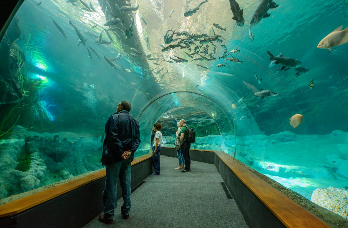 AMTSolyPlaya's tweet image. 💙 Todos nuestros municipios tienen varias cosas en común, entre ellas la amplia variedad de actividades y experiencias relacionadas con el concepto de turismo azul.

Por turismo azul entendemos el segmento que se enfoca en el uso responsable de los recursos marinos y costeros.