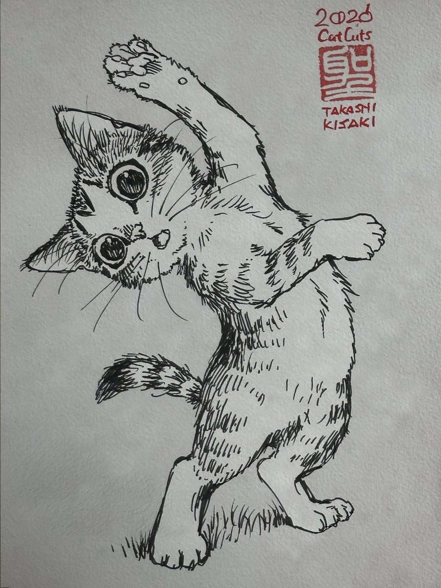 CatCuts✴︎描き猫✴︎ tweet media