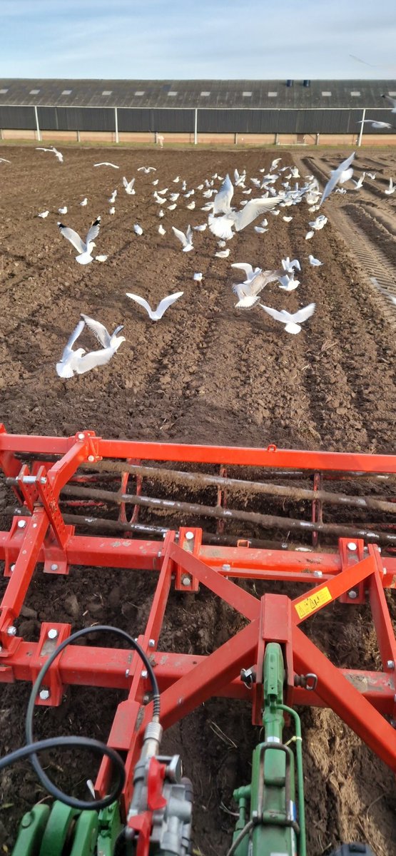 Eric van der Putten 🚜 tweet media