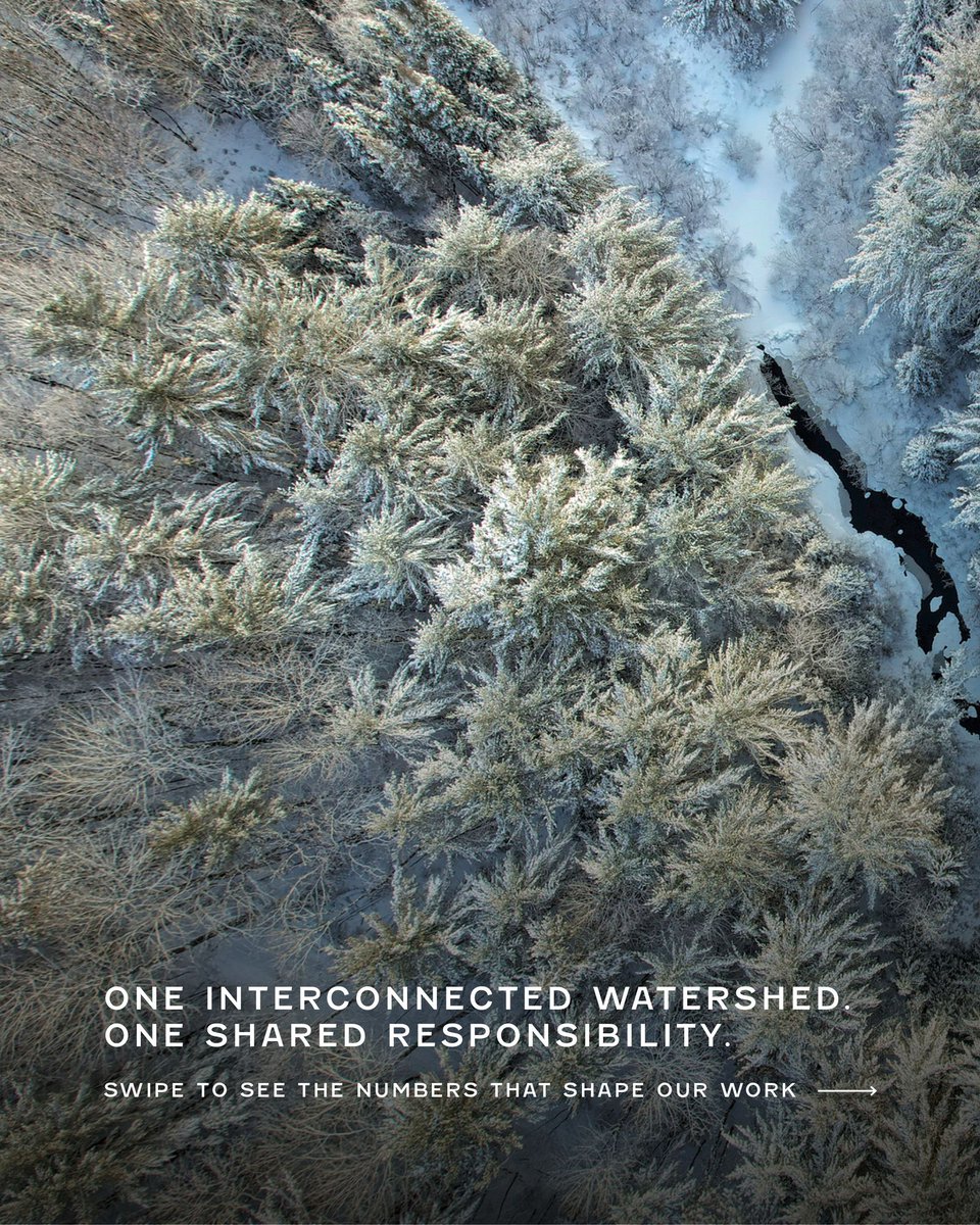 muskokawatershd's tweet photo. One interconnected watershed.
One shared responsibility.

Muskoka Watershed Council brings communities, lake associations, scientists, and decision-makers together to understand, protect, and steward Muskoka’s aquatic and terrestrial environment. https://t.co/bt3v7D8xah