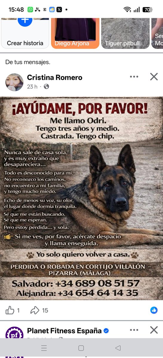 francer645's tweet image. Le están buscando.perdido en Pizarra (Málaga)