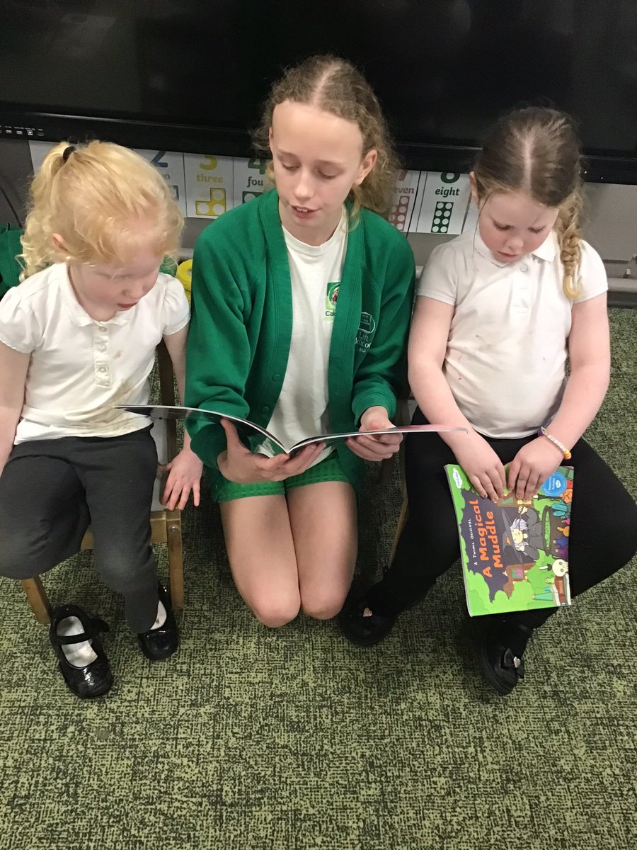 Caldi Y6 tweet media