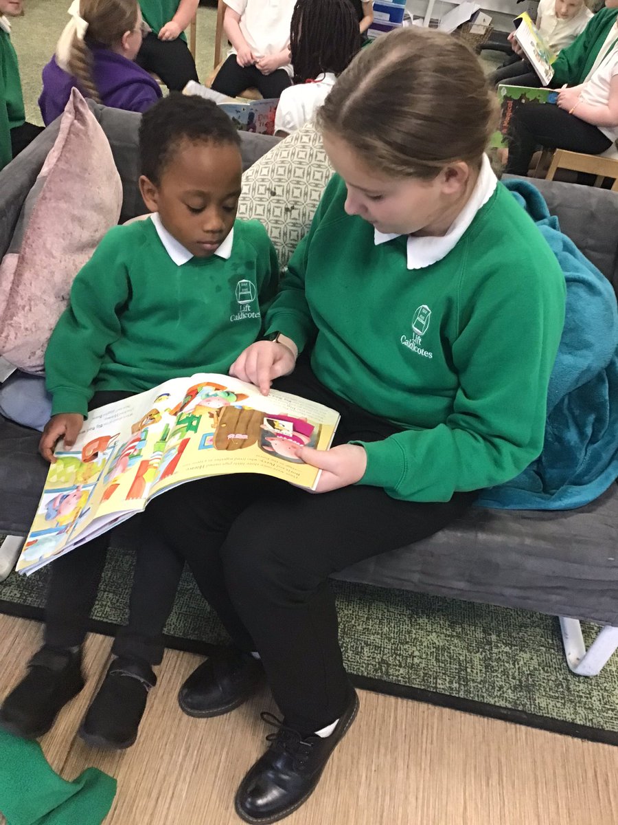 Caldi Y6 tweet media