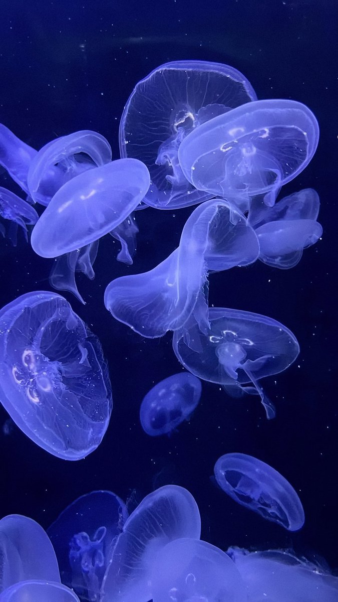 cute couple 💕 (@couplepanels) on Twitter photo 