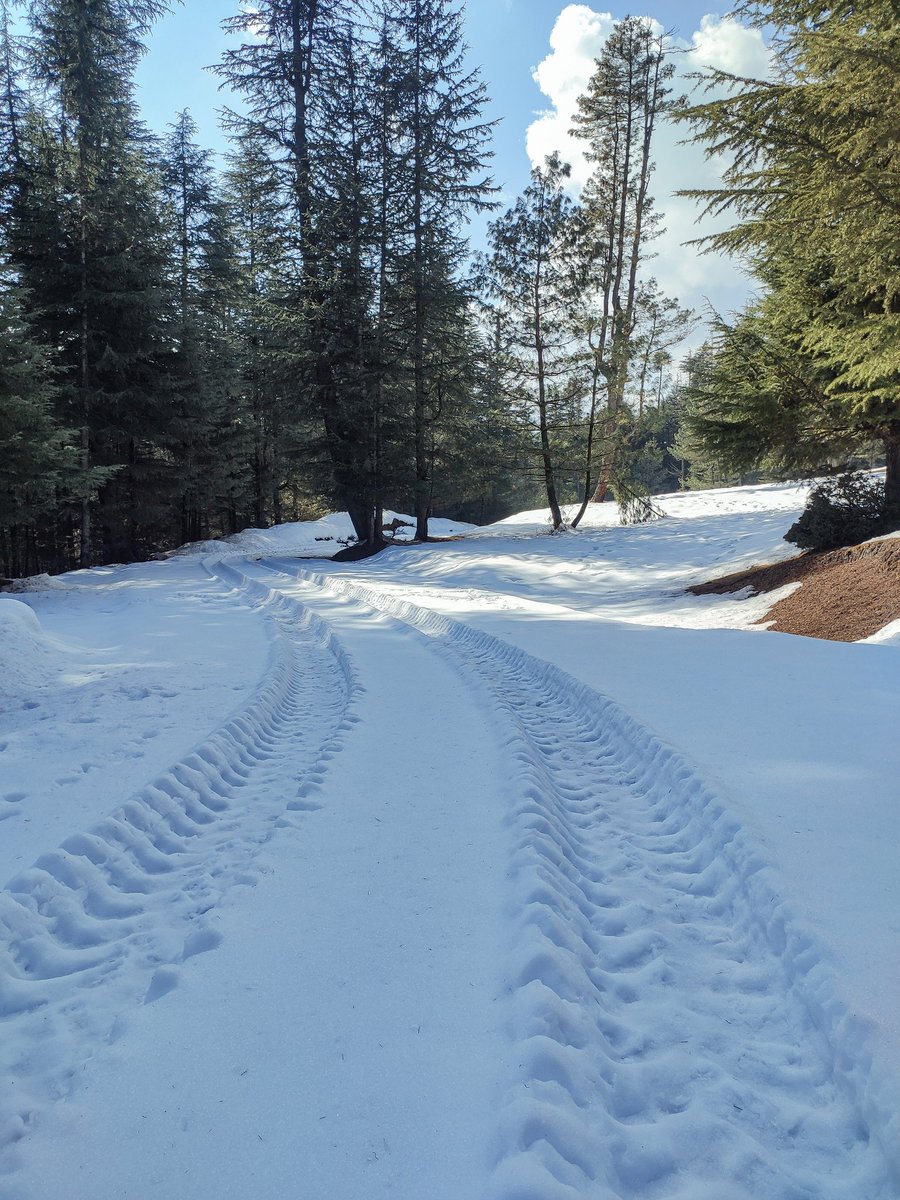 FaraazWani's tweet photo. #trails #farazanadthelens #myencounterwithnature https://t.co/8uk7WMhlkG