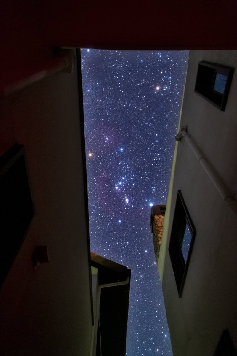 NightSkyToday's tweet photo. Orion ✨ https://t.co/zaWAc1HEX8