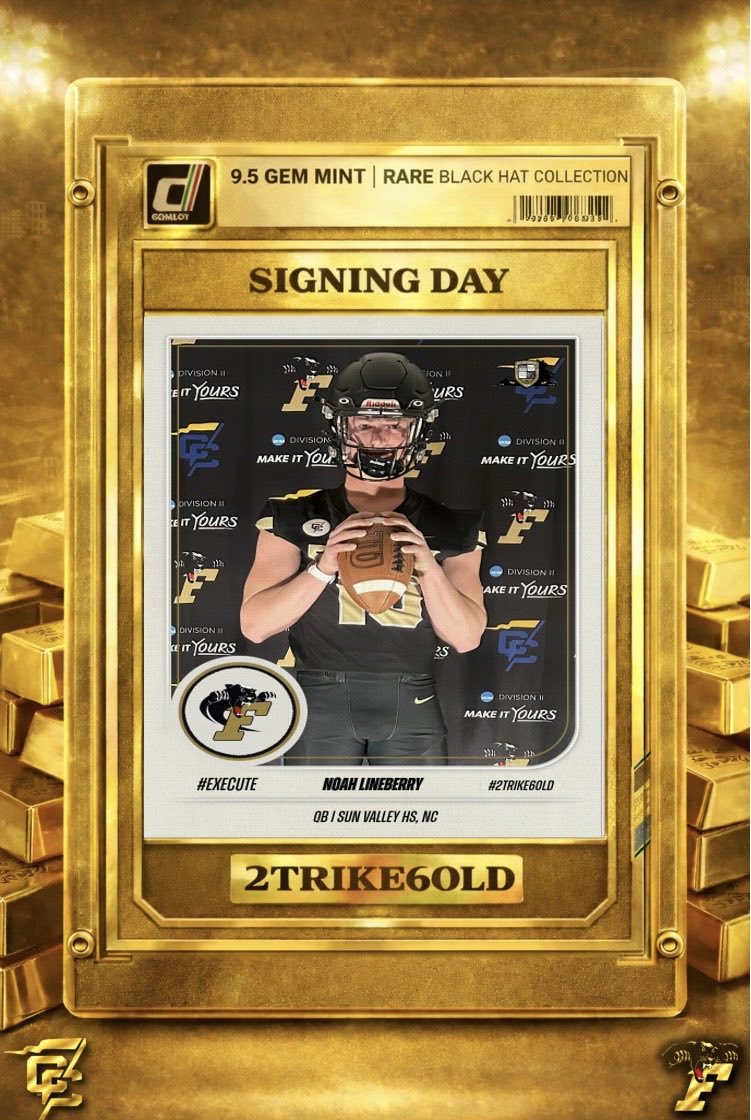 Ferrum Football tweet media