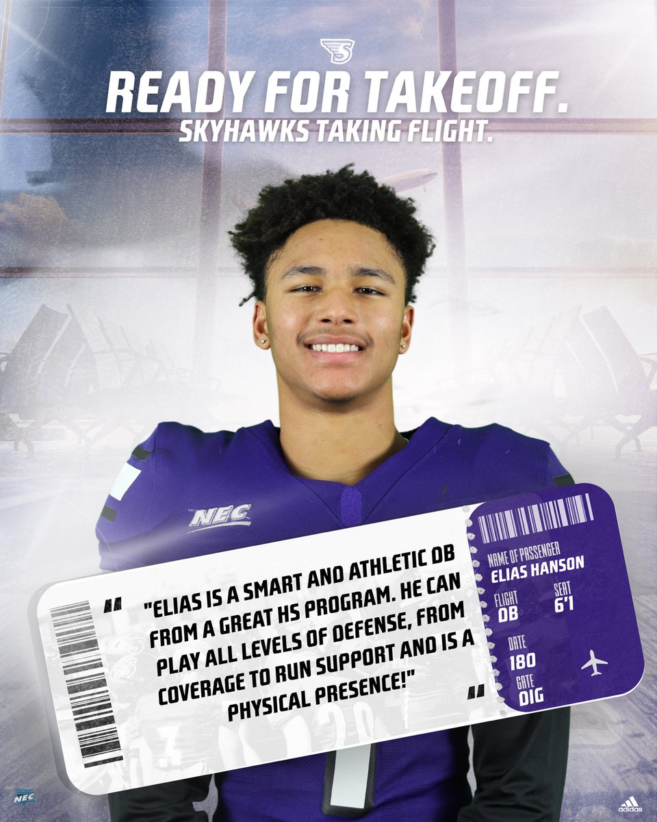 Stonehill Football #DIG tweet media