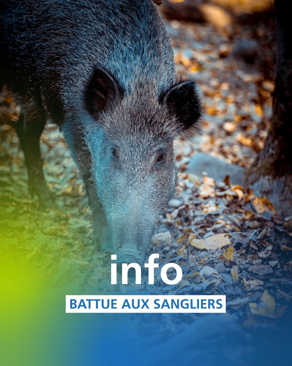 Agglomération d'Agen 🇫🇷🇪🇺🇺🇦 tweet media